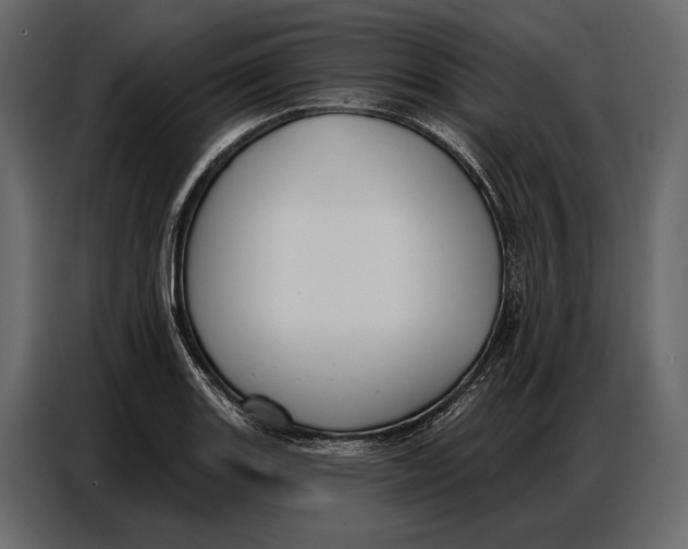 X0000086881131200705071156