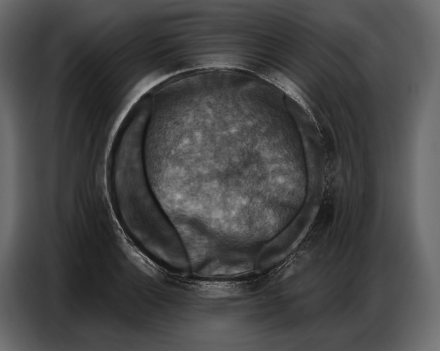 X0000086881132200705071156