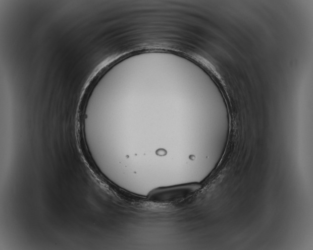 X0000086881133200705071156