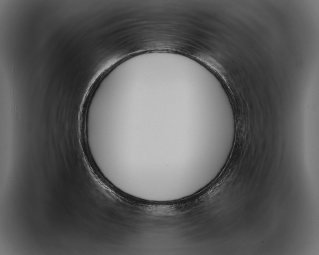 X0000086881135200705071156