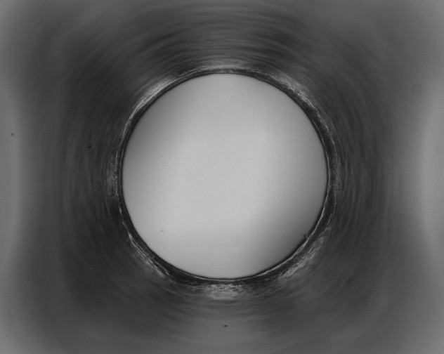 X0000086881137200705071156