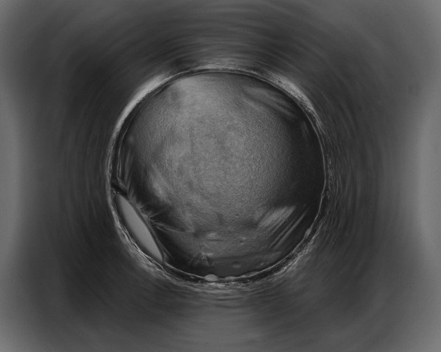 X0000086881138200705071156