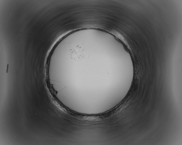 X0000086881140200705071156