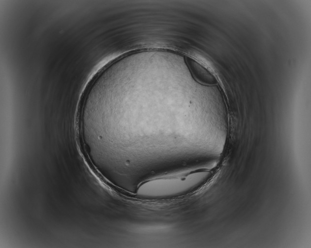 X0000086881141200705071156