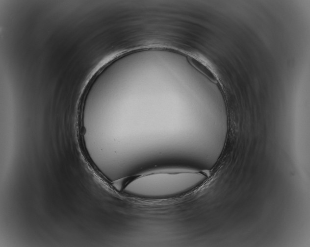 X0000086881142200705071156