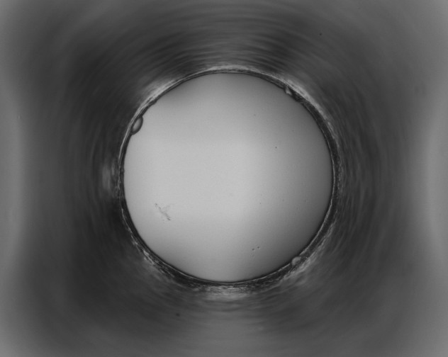 X0000086881145200705071156