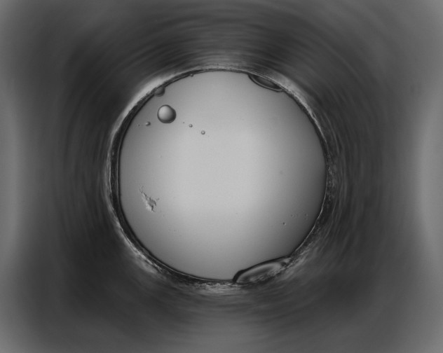 X0000086881147200705071156