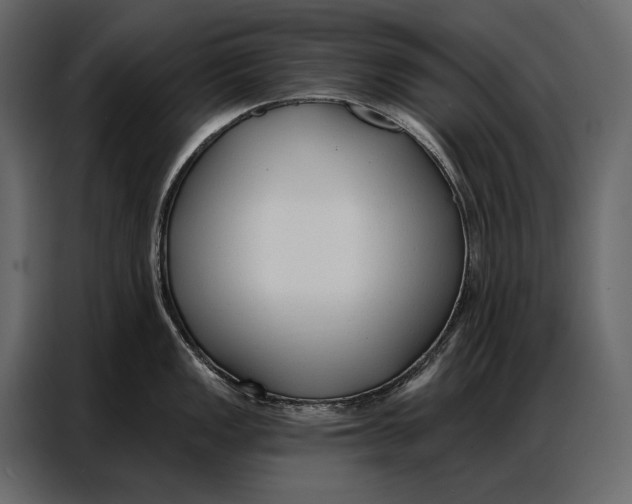 X0000086881149200705071156