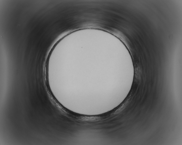 X0000086881150200705071156