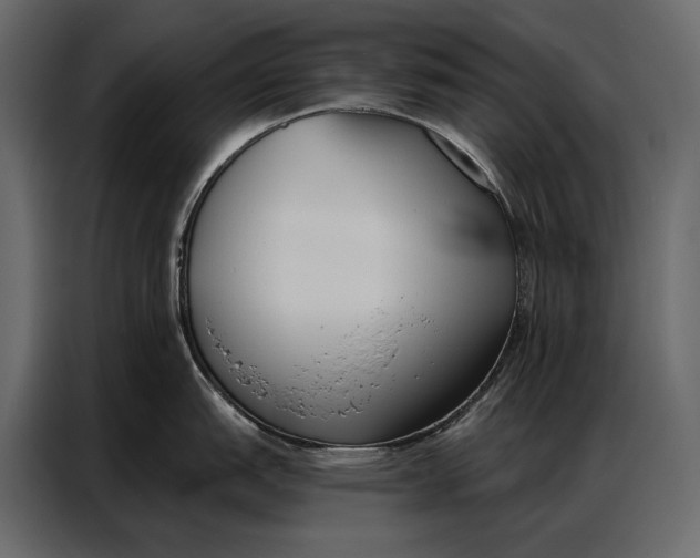 X0000086881151200705071156