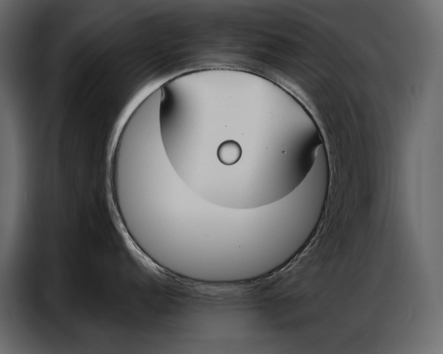 X0000086881152200705071156