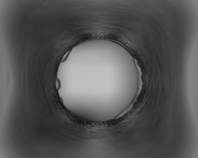 X0000086881153200705071156