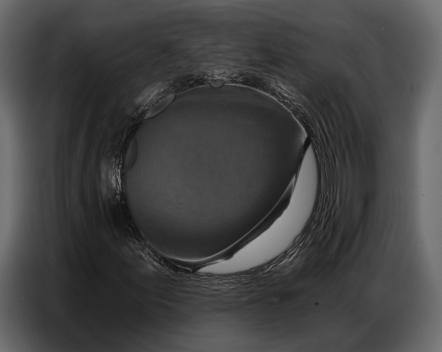 X0000086881155200705071156