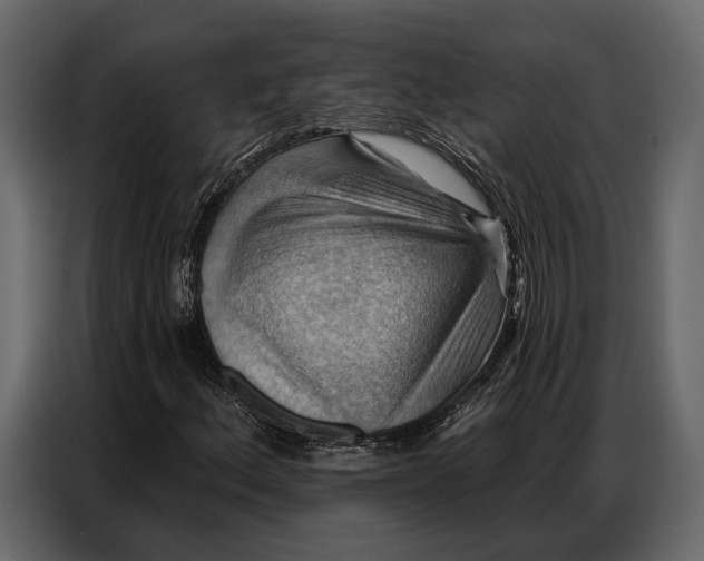 X0000086881156200705071156