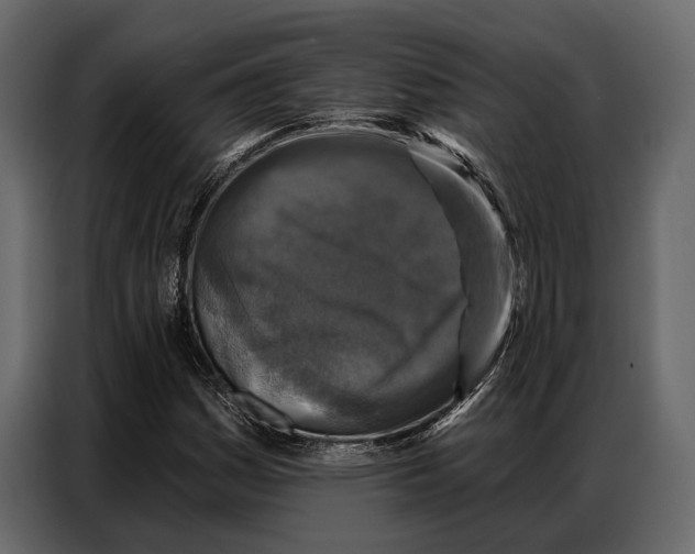 X0000086881161200705071156