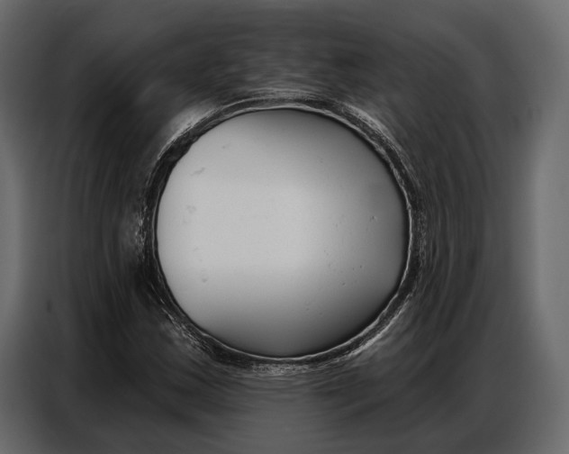 X0000086881163200705071156