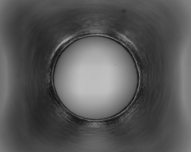 X0000086881166200705071156