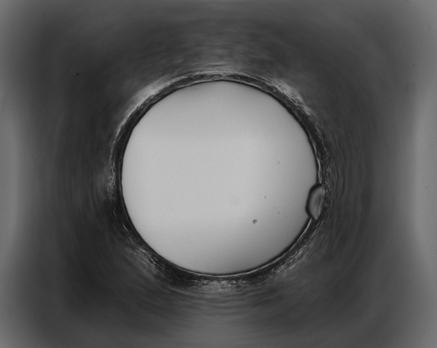 X0000086881167200705071156