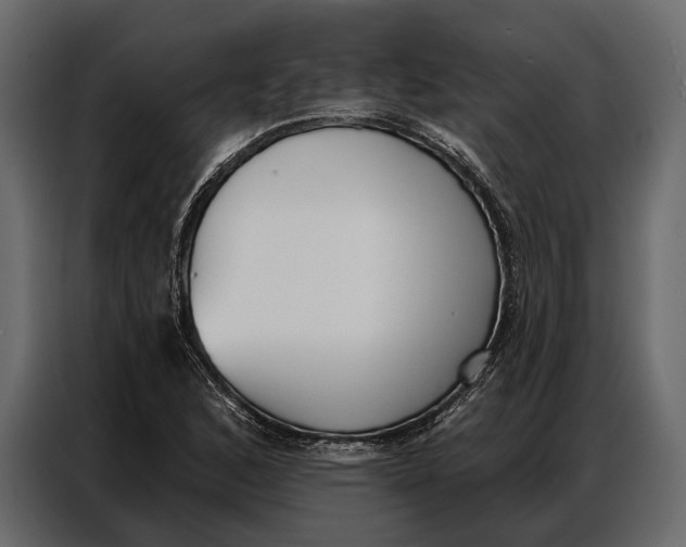 X0000086881168200705071156