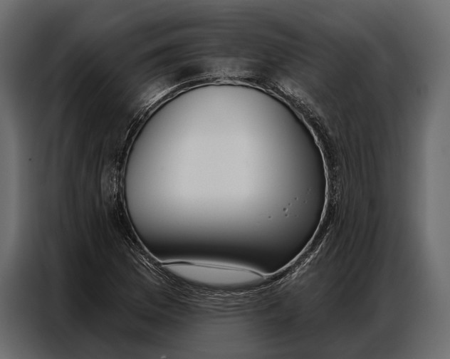 X0000086881169200705071156