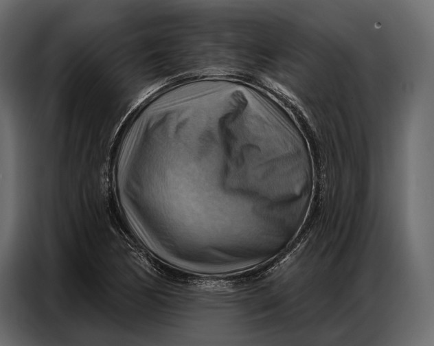 X0000086881170200705071156