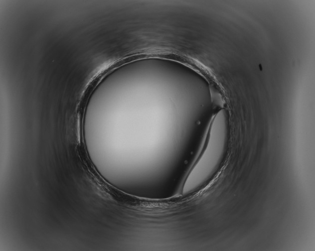 X0000086881171200705071155