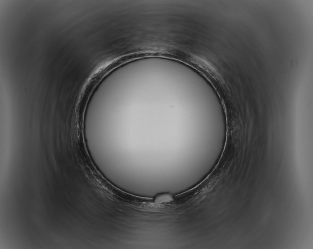 X0000086881172200705071155