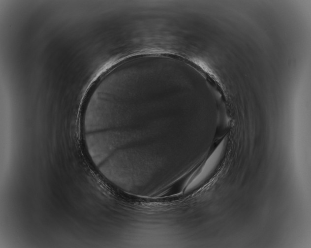 X0000086881173200705071155