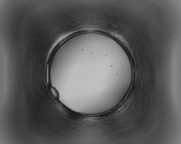 X0000086881175200705071155