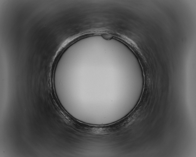 X0000086881176200705071155