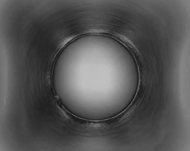 X0000086881177200705071155