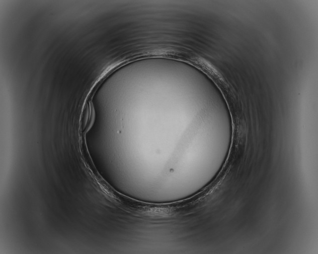 X0000086881178200705071155