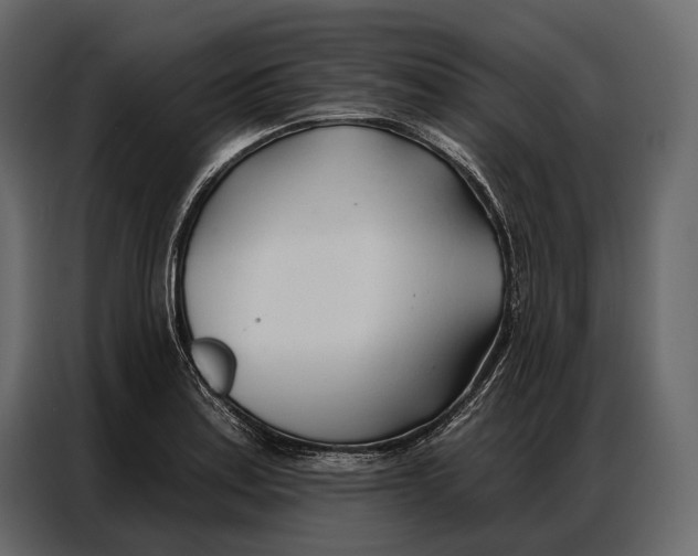 X0000086881179200705071155