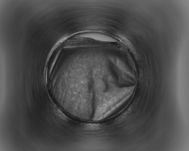 X0000086881180200705071155