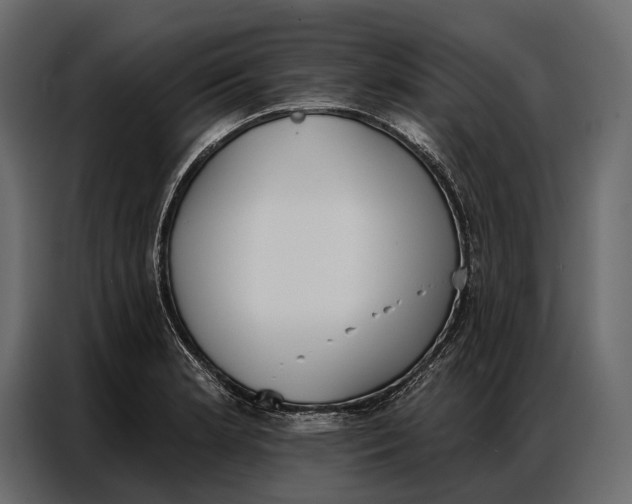 X0000086881181200705071155