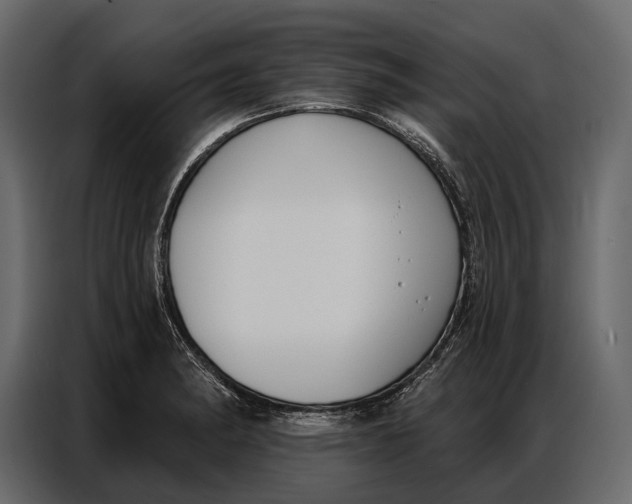 X0000086881182200705071155