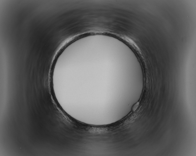 X0000086881183200705071155