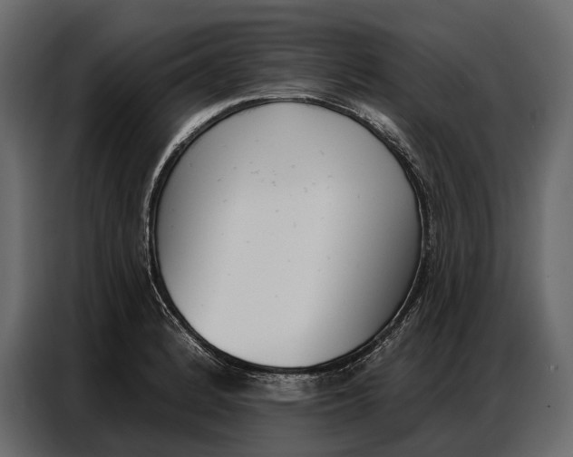 X0000086881184200705071155