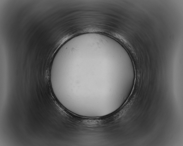 X0000086881185200705071155