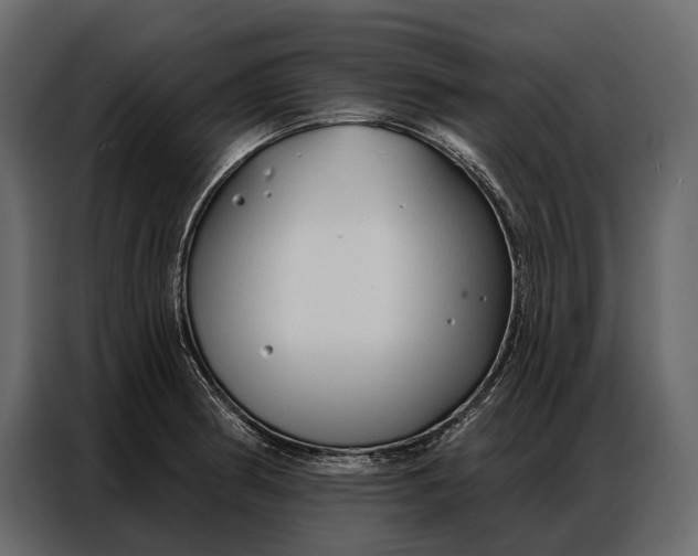 X0000086881186200705071155