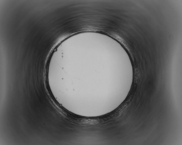 X0000086881187200705071155