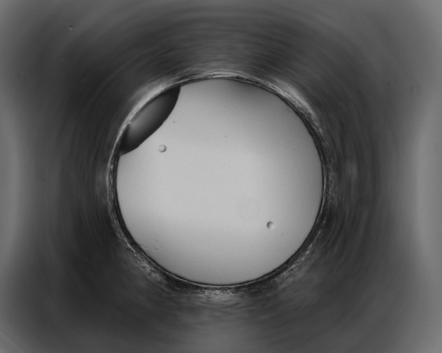 X0000086881190200705071155