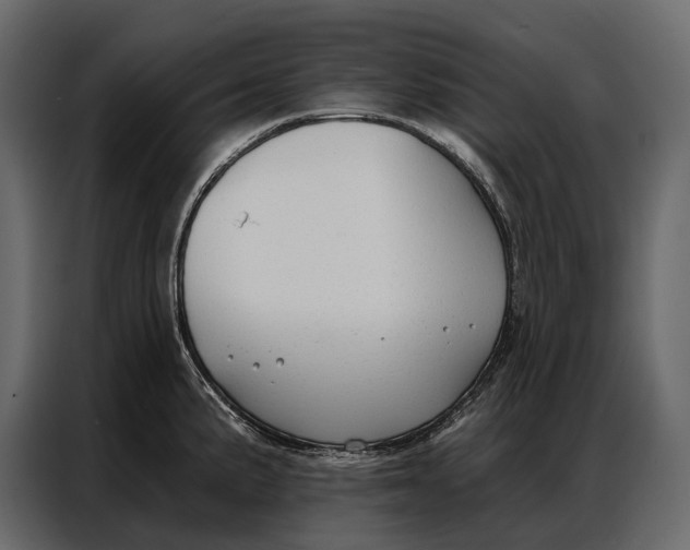 X0000086881191200705071155