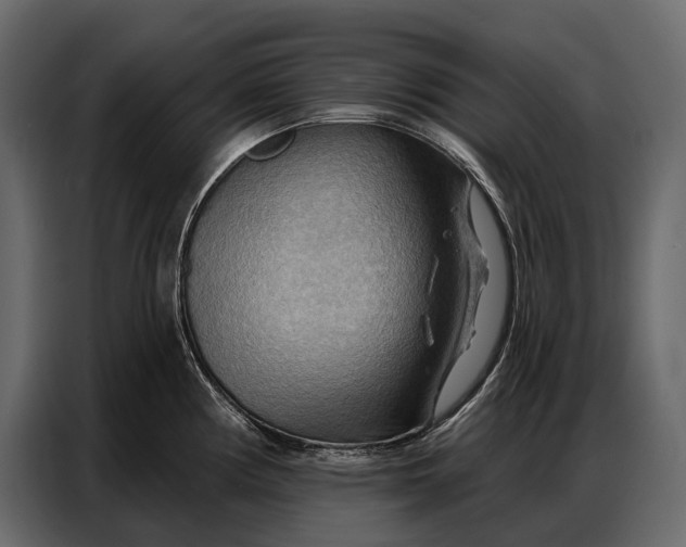 X0000086881194200705071155