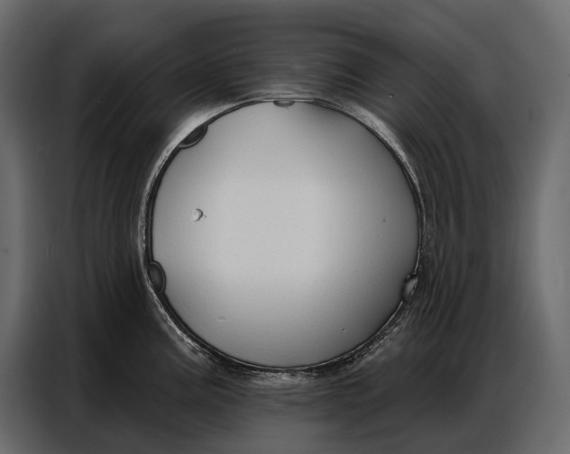 X0000086881195200705071155