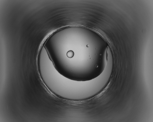 X0000086881196200705071155