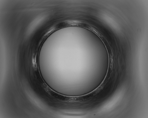 X0000086881198200705071155