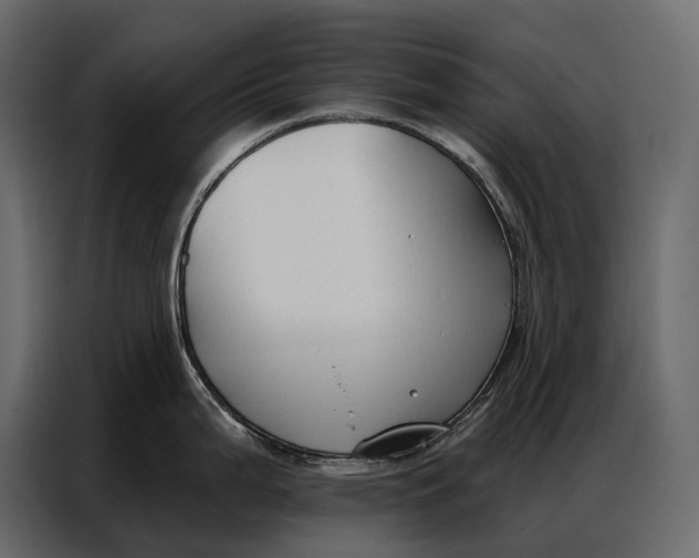 X0000086881199200705071155