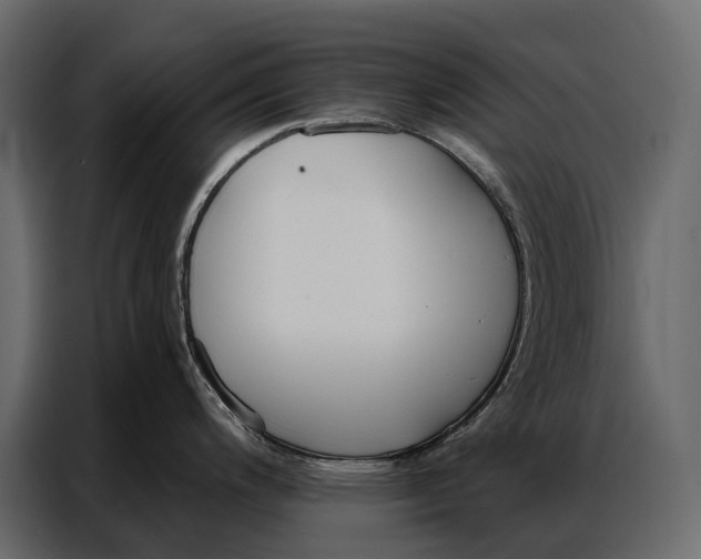 X0000086881200200705071155