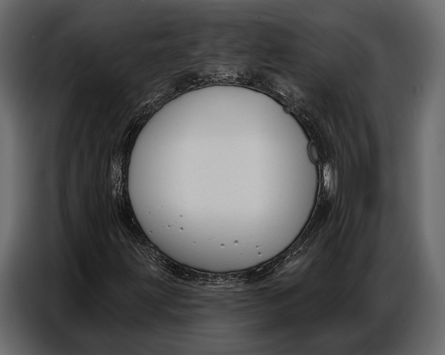 X0000086881203200705071155